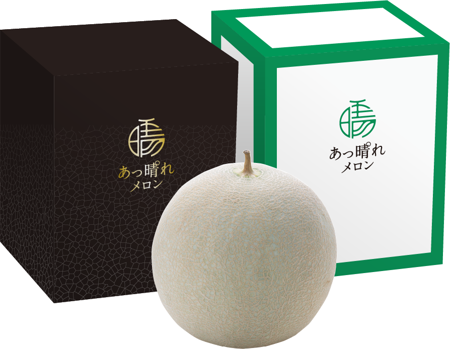 メロン商品イメージ