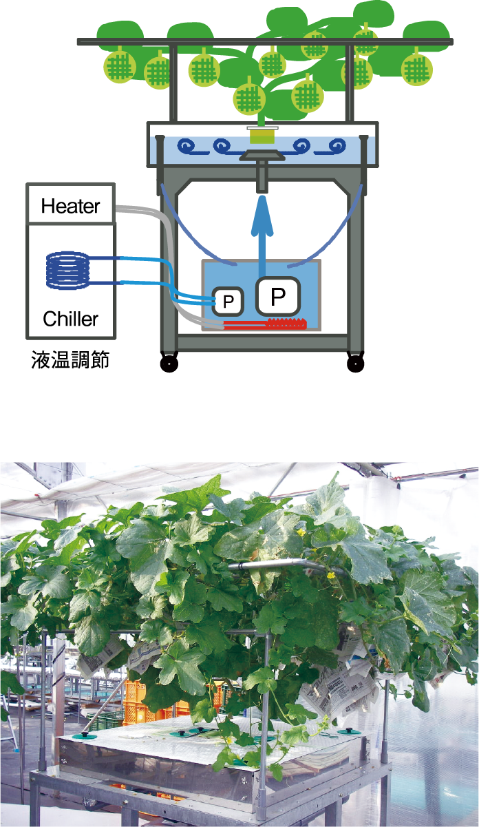 独立循環型栽培槽