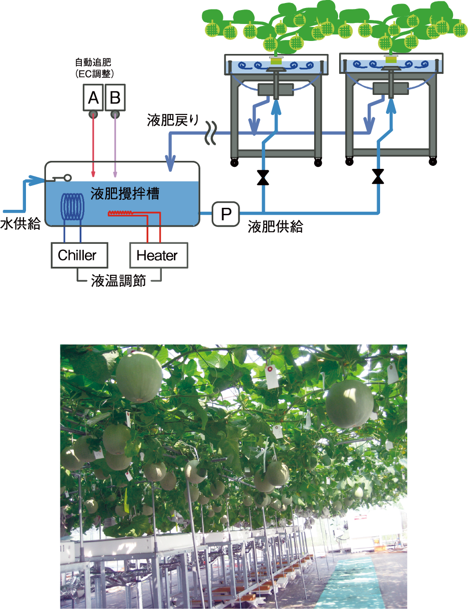 連結循環型栽培槽